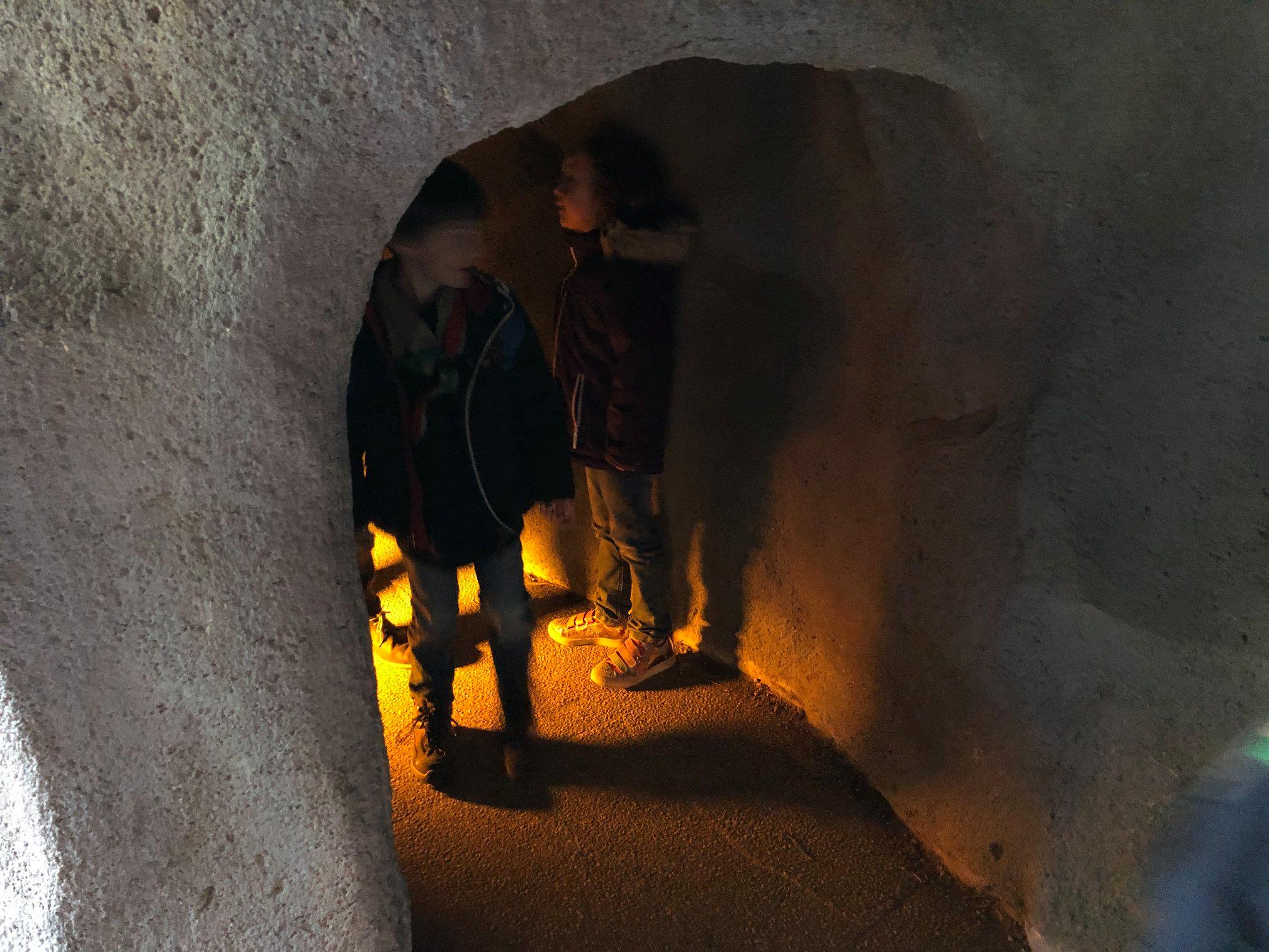 Sint-Martinus den XIIde - Zoo Antwerpen Kapoenen